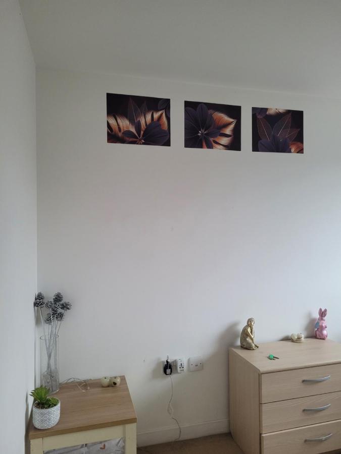 Room Near Heathrow Airport 希思罗 外观 照片